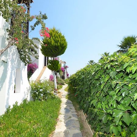 Salinas Beach Hotel Bodrum-Boutique Concept 검벳 외부 사진